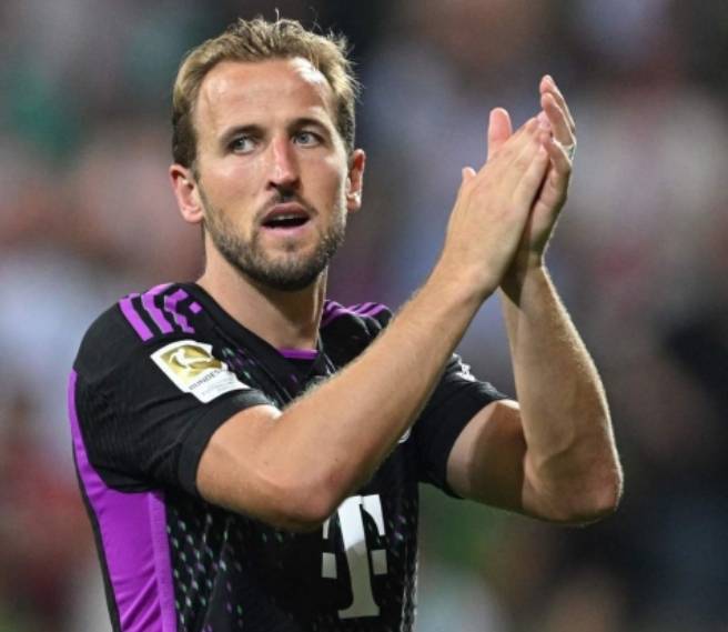 的内容清晰 的内容清晰